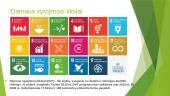 Darnaus vystymosi tikslai geografijos pamokoje 2 puslapis