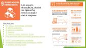 Darnaus vystymosi tikslai geografijos pamokoje 11 puslapis