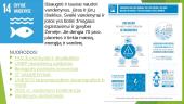 Darnaus vystymosi tikslai geografijos pamokoje 16 puslapis