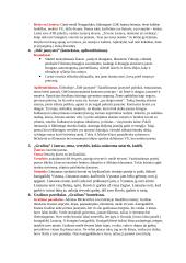 A. Mickevičiaus kūrybos analizė 2 puslapis