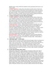 A. Mickevičiaus kūrybos analizė 3 puslapis