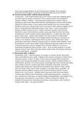 A. Mickevičiaus kūrybos analizė 4 puslapis