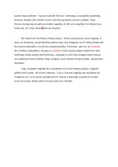 Kurio veikėjo – Antigonės ar Kreonto – tragedija skaudesnė? 2 puslapis