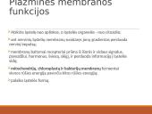 Medžiagų pernaša per biologines membranas 2 puslapis