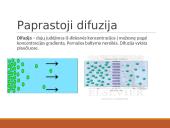 Medžiagų pernaša per biologines membranas 12 puslapis