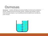 Medžiagų pernaša per biologines membranas 15 puslapis