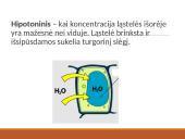 Medžiagų pernaša per biologines membranas 18 puslapis