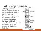 Medžiagų pernaša per biologines membranas 20 puslapis