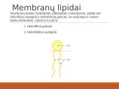 Medžiagų pernaša per biologines membranas 4 puslapis