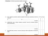 Medžiagų pernaša per biologines membranas 7 puslapis