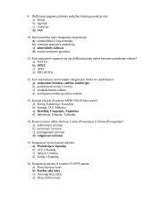 Globalizacija 2 puslapis