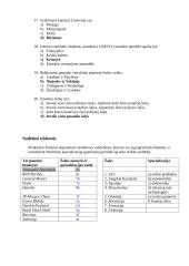 Globalizacija 3 puslapis