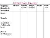 Fermentai 12 puslapis