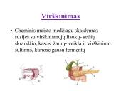 Fermentai 6 puslapis