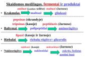 Fermentai 10 puslapis