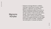Maironis (skaidrės) 6 puslapis