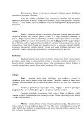 Dievų miškas (konspektas) 2 puslapis