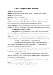 Etikos pamokos planas: "Kaip nuraminama sąžinė?"