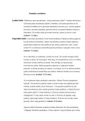 Etikos pamokos planas: "Kaip nuraminama sąžinė?" 2 puslapis