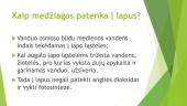 Medžiagų apykaita ir pernaša augaluose  (skaidrės) 17 puslapis