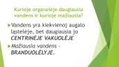 Medžiagų apykaita ir pernaša augaluose  (skaidrės) 18 puslapis