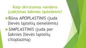 Medžiagų apykaita ir pernaša augaluose  (skaidrės) 3 puslapis