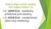 Medžiagų apykaita ir pernaša augaluose  (skaidrės) 10 puslapis