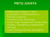 Miškai - pasaulio turtas (skaidrės) 13 puslapis