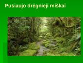 Miškai - pasaulio turtas (skaidrės) 15 puslapis