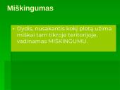 Miškai - pasaulio turtas (skaidrės) 17 puslapis