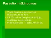 Miškai - pasaulio turtas (skaidrės) 18 puslapis