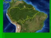 Miškai - pasaulio turtas (skaidrės) 19 puslapis