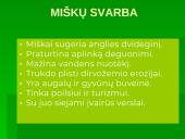 Miškai - pasaulio turtas (skaidrės) 3 puslapis