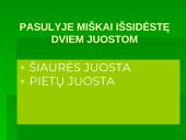 Miškai - pasaulio turtas (skaidrės) 4 puslapis
