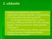 Miškai - pasaulio turtas (skaidrės) 7 puslapis