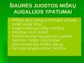 Miškai - pasaulio turtas (skaidrės) 8 puslapis