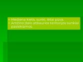 Miškai - pasaulio turtas (skaidrės) 9 puslapis