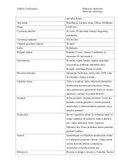 Geografijos pamokos planas: "Olandija – kanalų ir šiltnamių šalis" 3 puslapis