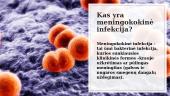 Meningokokinė infekcija 2 puslapis