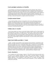 Liudo Vasario ir Liucės istorija 2 puslapis