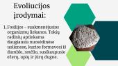 Evoliucijos įrodymai (skaidrės) (2) 4 puslapis