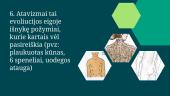 Evoliucijos įrodymai (skaidrės) (2) 9 puslapis