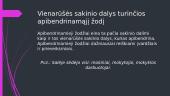 Vientisinio sakinio skyryba (skaidrės) 7 puslapis