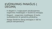 Ląstelinis kvėpavimas (skaidrės) 6 puslapis