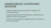 Ląstelinis kvėpavimas (skaidrės) 10 puslapis