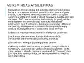 Organizacinė kultūra ir vertybės 16 puslapis