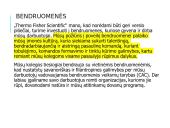 Organizacinė kultūra ir vertybės 18 puslapis