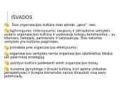 Organizacinė kultūra ir vertybės 20 puslapis
