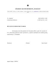 Įmonės veiklos dokumentavimas 2 puslapis