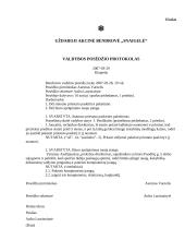 Įmonės veiklos dokumentavimas 13 puslapis